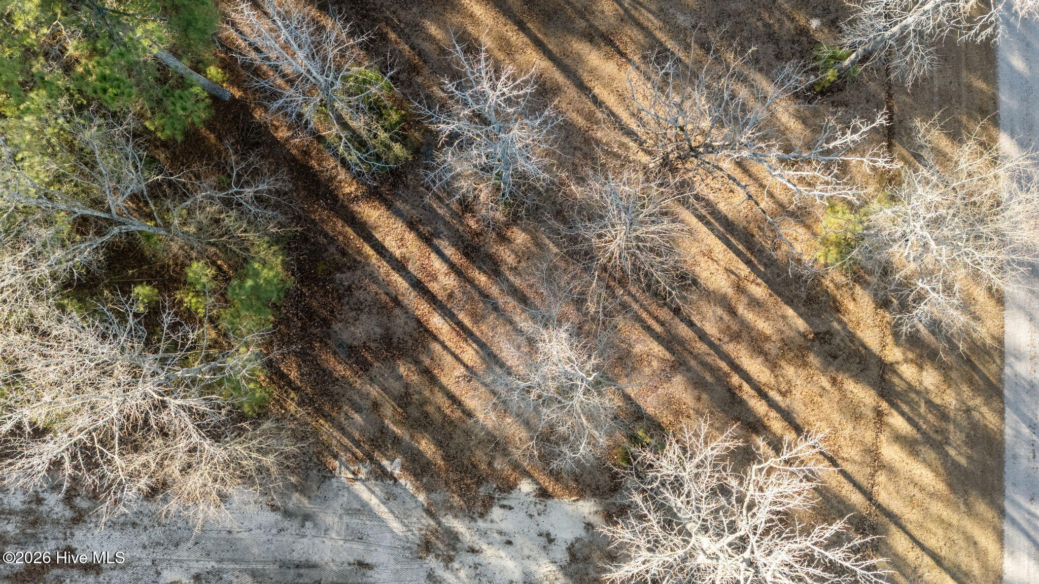 8 Topping Road Belhaven, NC 27810 - Photo 26 of 29 Pungo Creek Estates