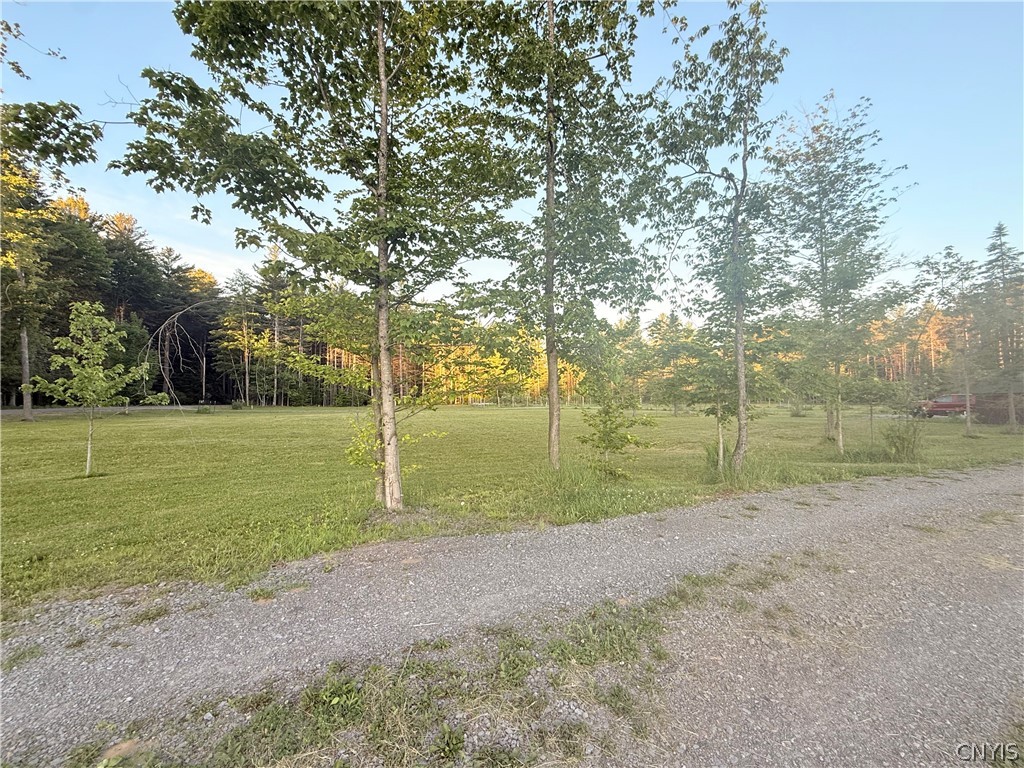 7510 Chases Lake Road Watson, NY 13343 - Photo 6 of 45