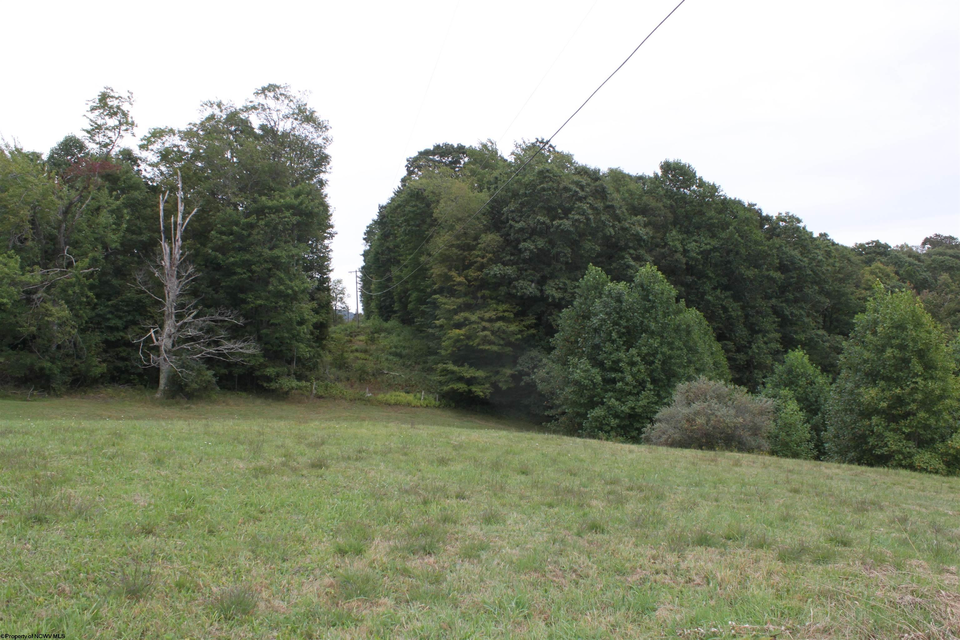 6776 Point Mountain Road Webster Springs, WV 26288 - Photo 27 of 32 Gallery Image 27
