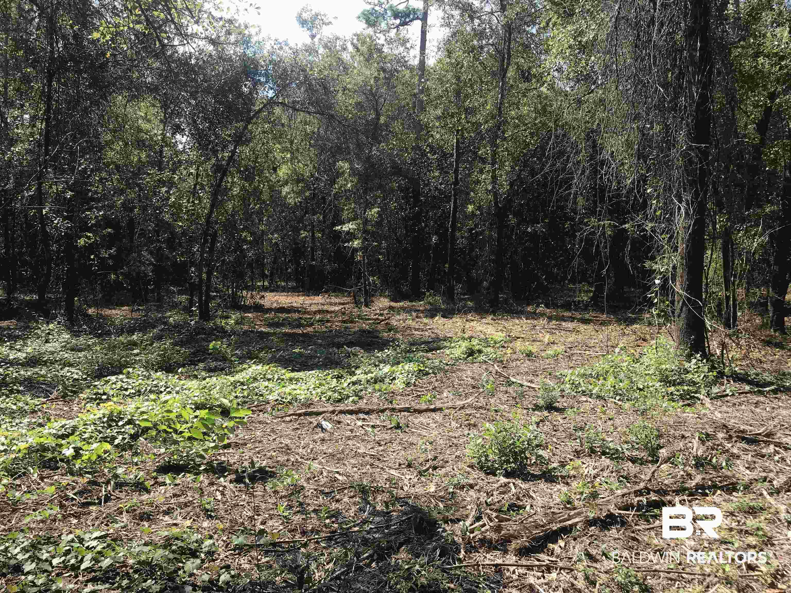 14388 State Highway 104 Silverhill, AL 36576 - Photo 11 of 11 View of nature