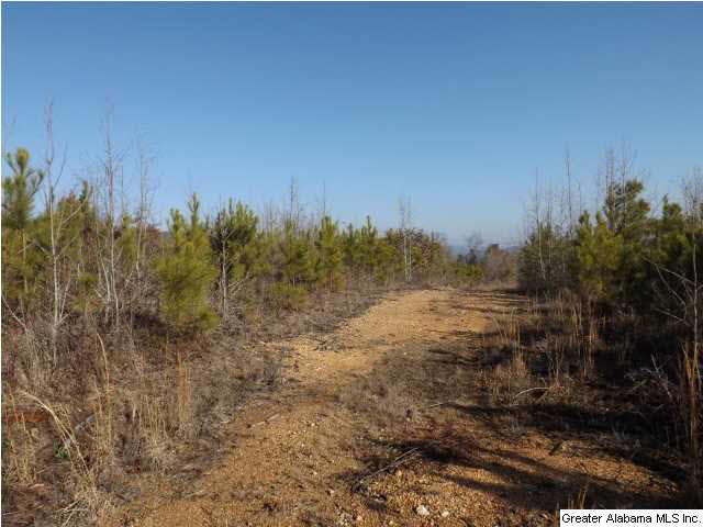 286 County Road, Unit 85 Collinsville, AL 35961 - Photo 7 of 23