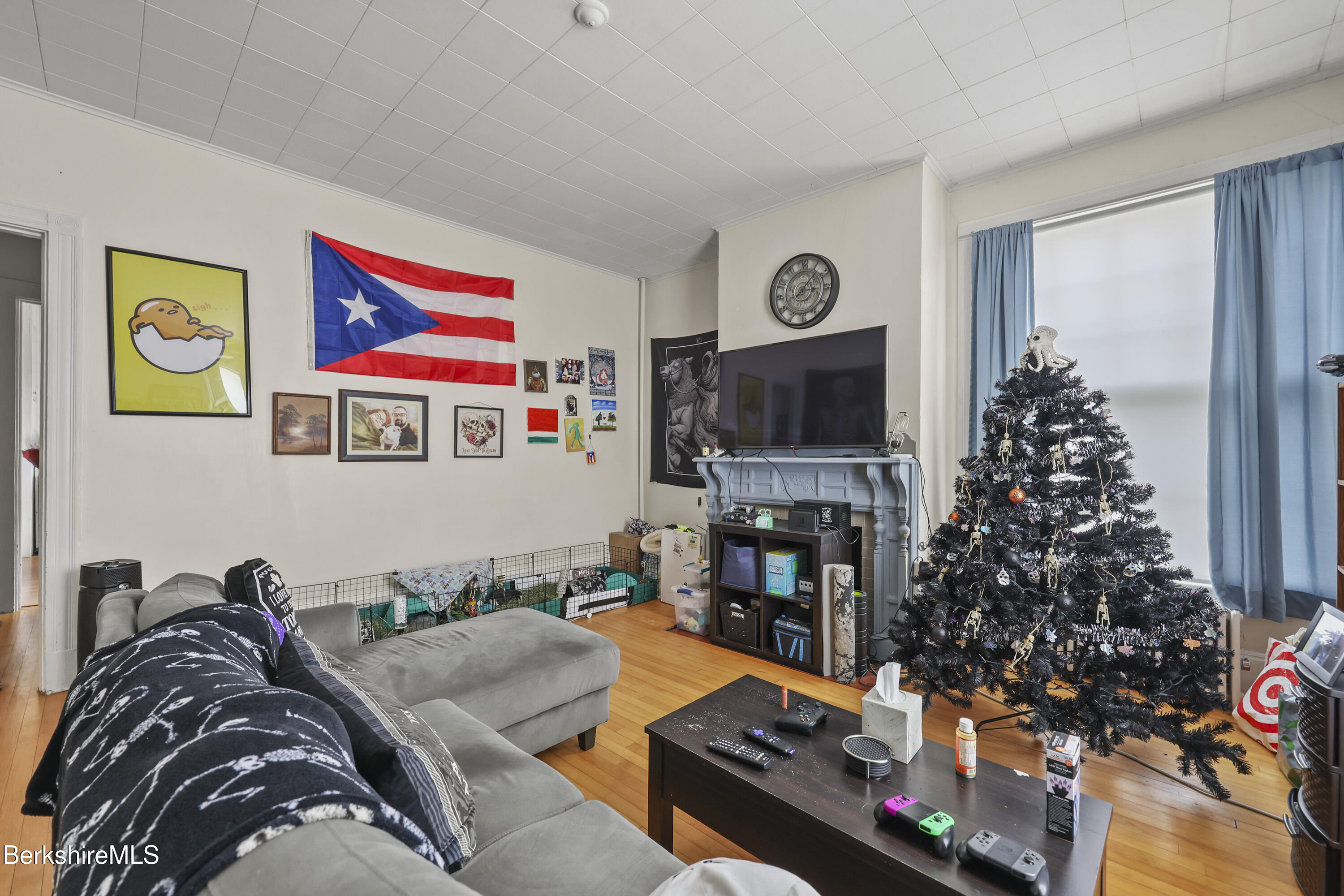 104 Appleton Avenue Pittsfield, MA 01201 - Photo 3 of 50 a living room with furniture and a flat screen tv