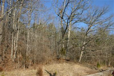 3568 Pine Ridge Road Winchester, KY 40391 - Photo 2 of 4 Photo 2