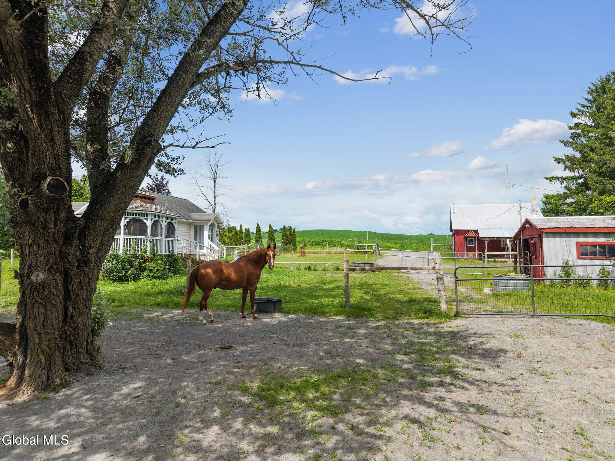 240 Egelston Road Fultonville, NY 12072 - Photo 42 of 60 47-240EglestonRd_47