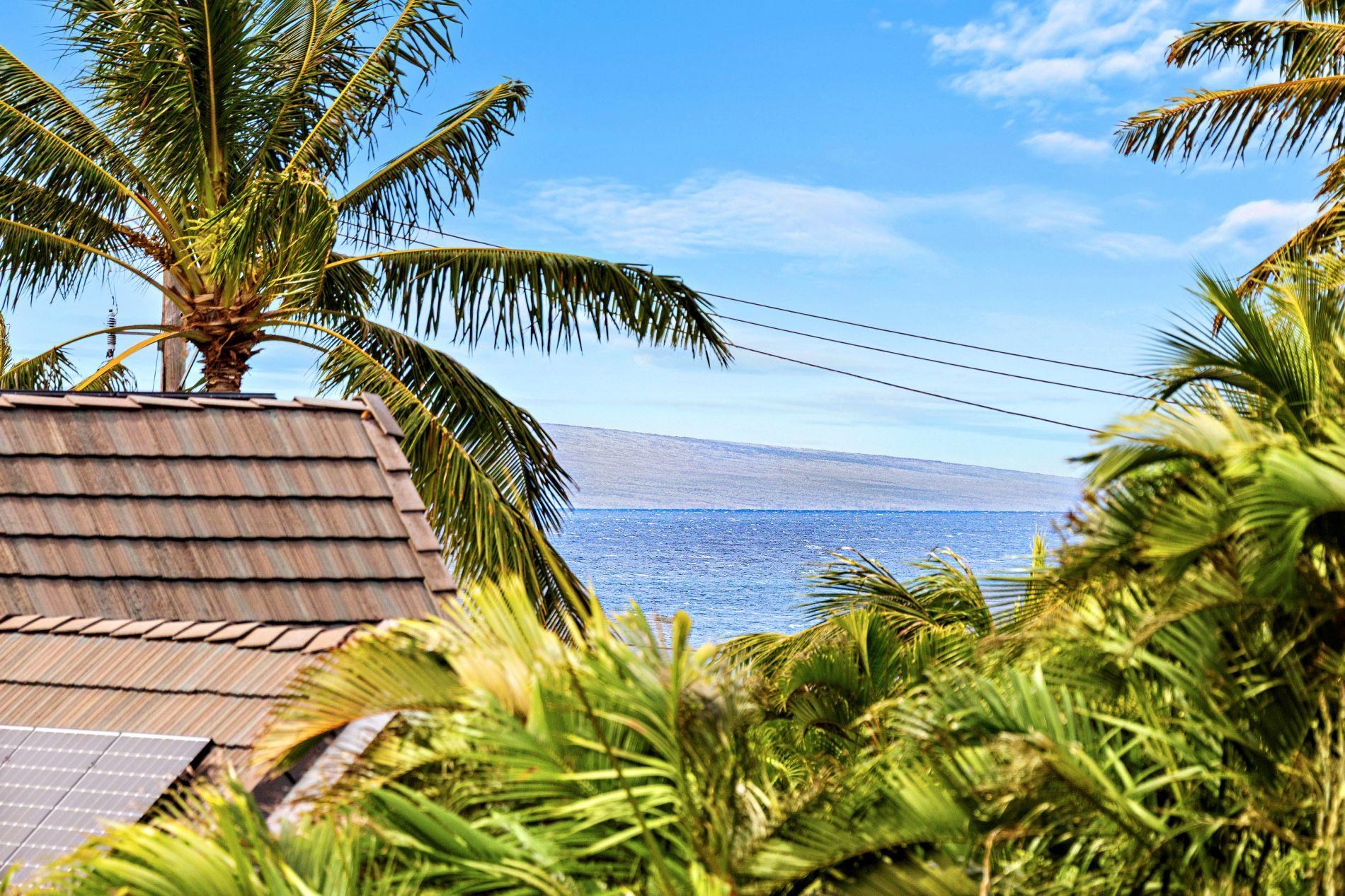 127 Punohu Lane, Unit 72 Lahaina, HI 96761 - Photo 42 of 43 a view of a palm tree with a yard