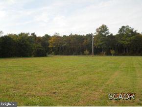 32471 Molly Field Road Dagsboro, DE 19939 - Photo 7 of 10 Gallery Image 7