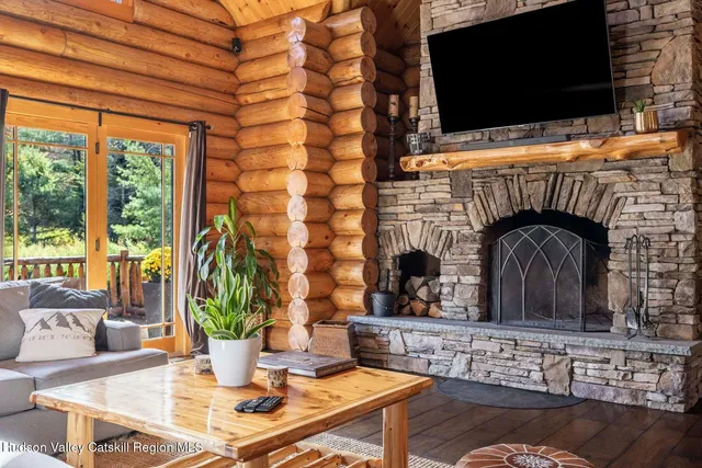 a living room with couches and a potted plant on it