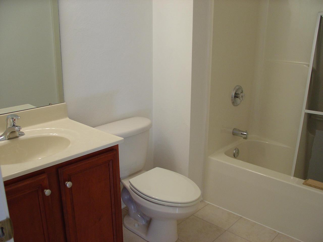 713 North Mill Road Salem, VA 24153 - Photo 11 of 14 Guest Bathroom