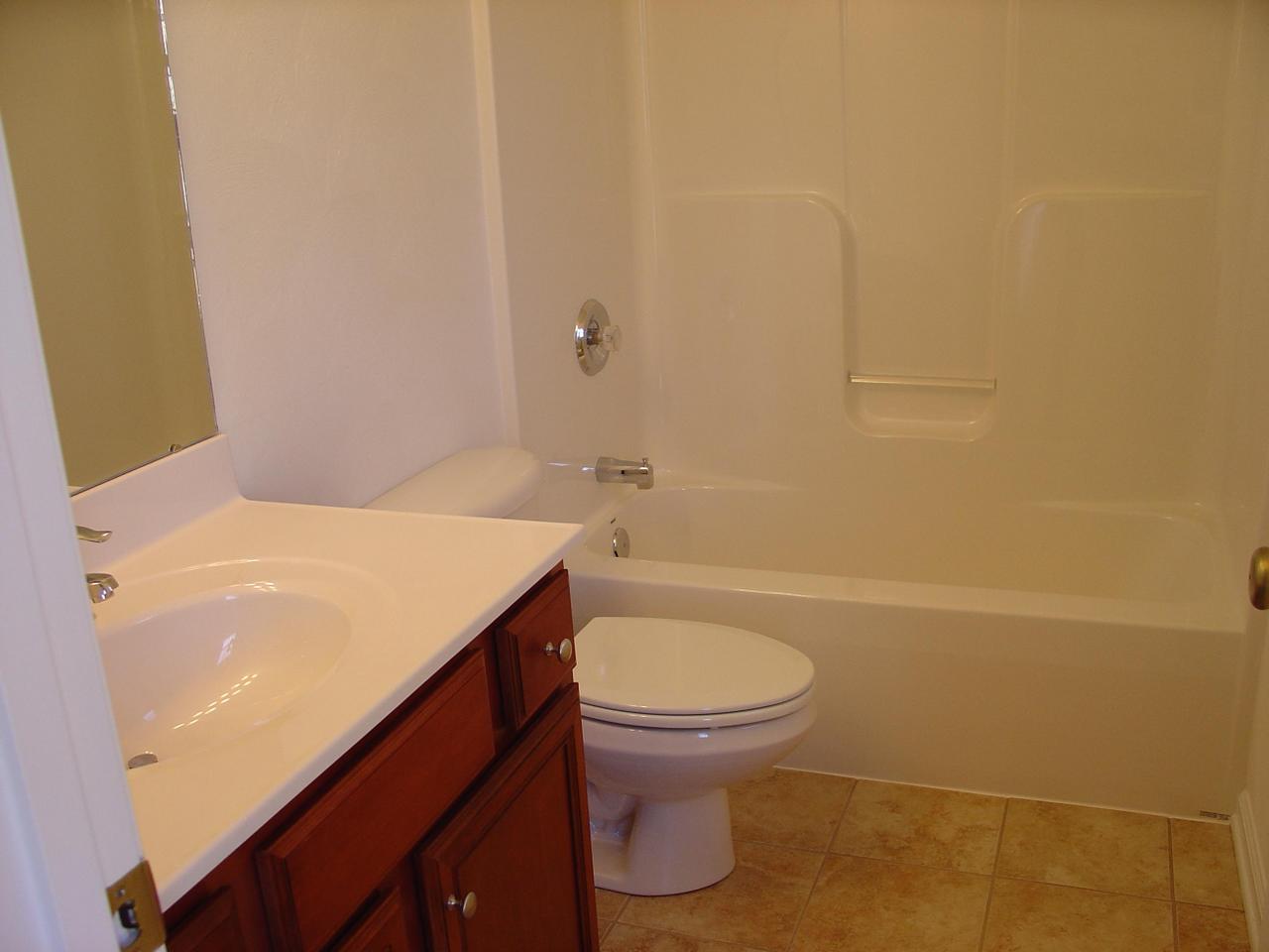 713 North Mill Road Salem, VA 24153 - Photo 10 of 14 Master Bathroom