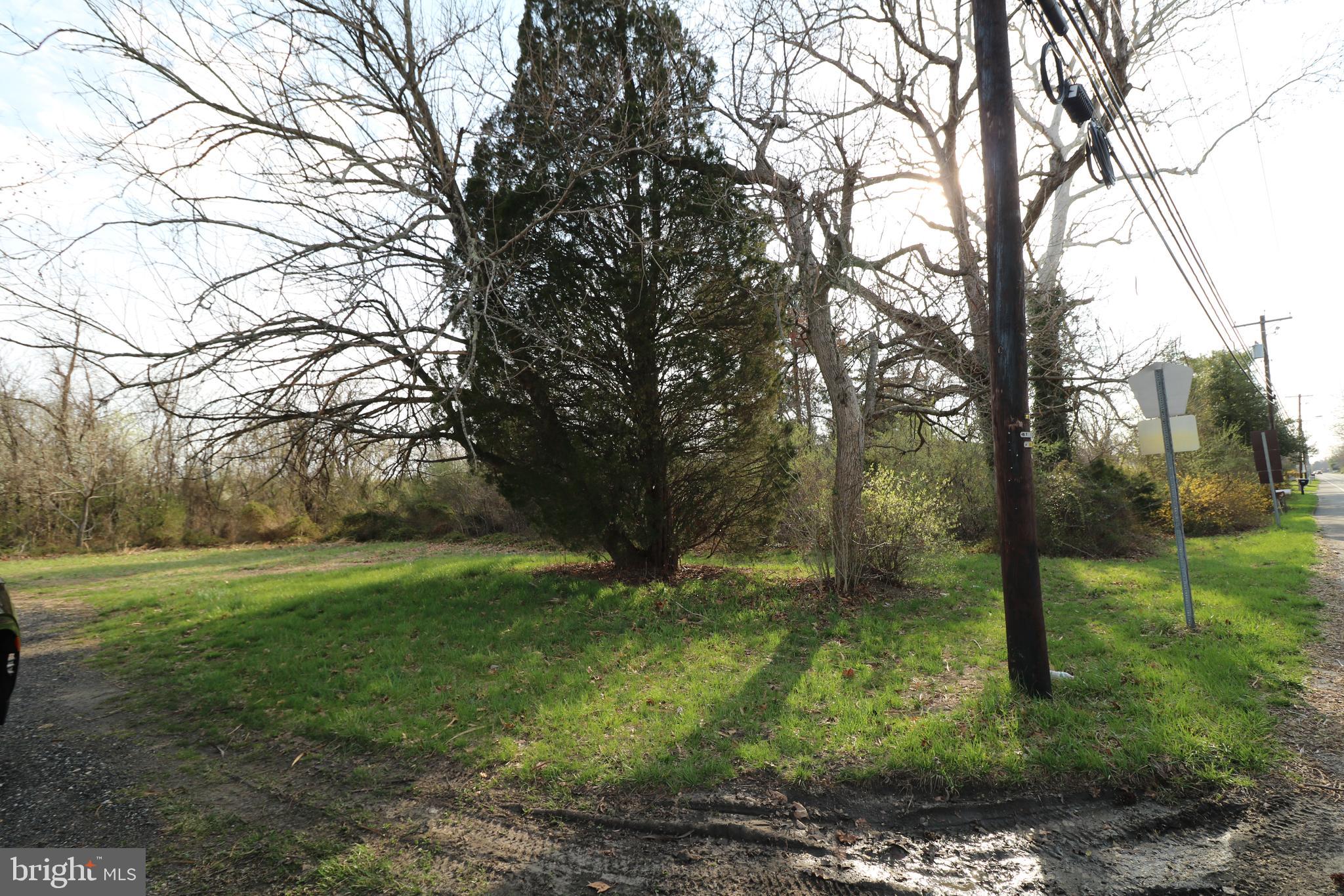 3605 Nesco Road Hammonton, NJ 08037 - Photo 4 of 4 211 feet frontage on Nesco Road
