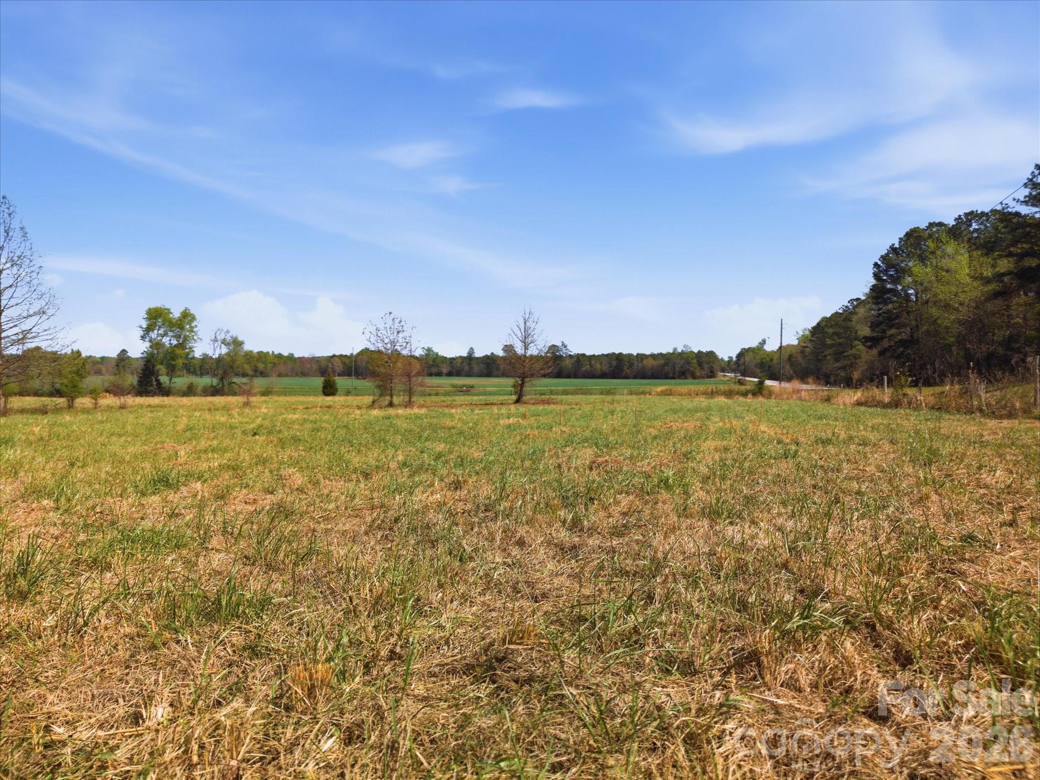 52 McMillan Road Cheraw, SC 29520 - Photo 18 of 46 Gallery Image 18