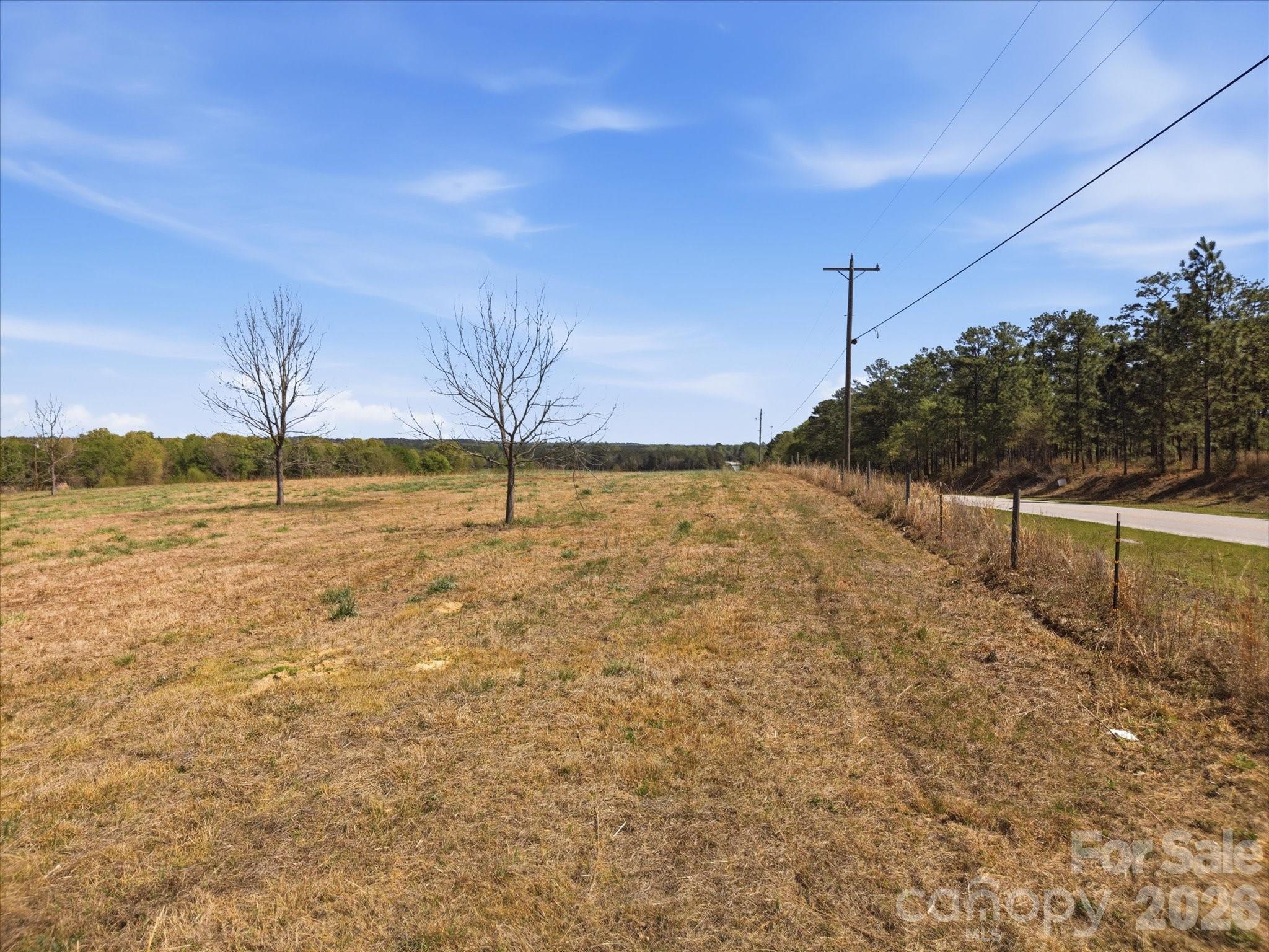 52 McMillan Road Cheraw, SC 29520 - Photo 19 of 46 Gallery Image 19