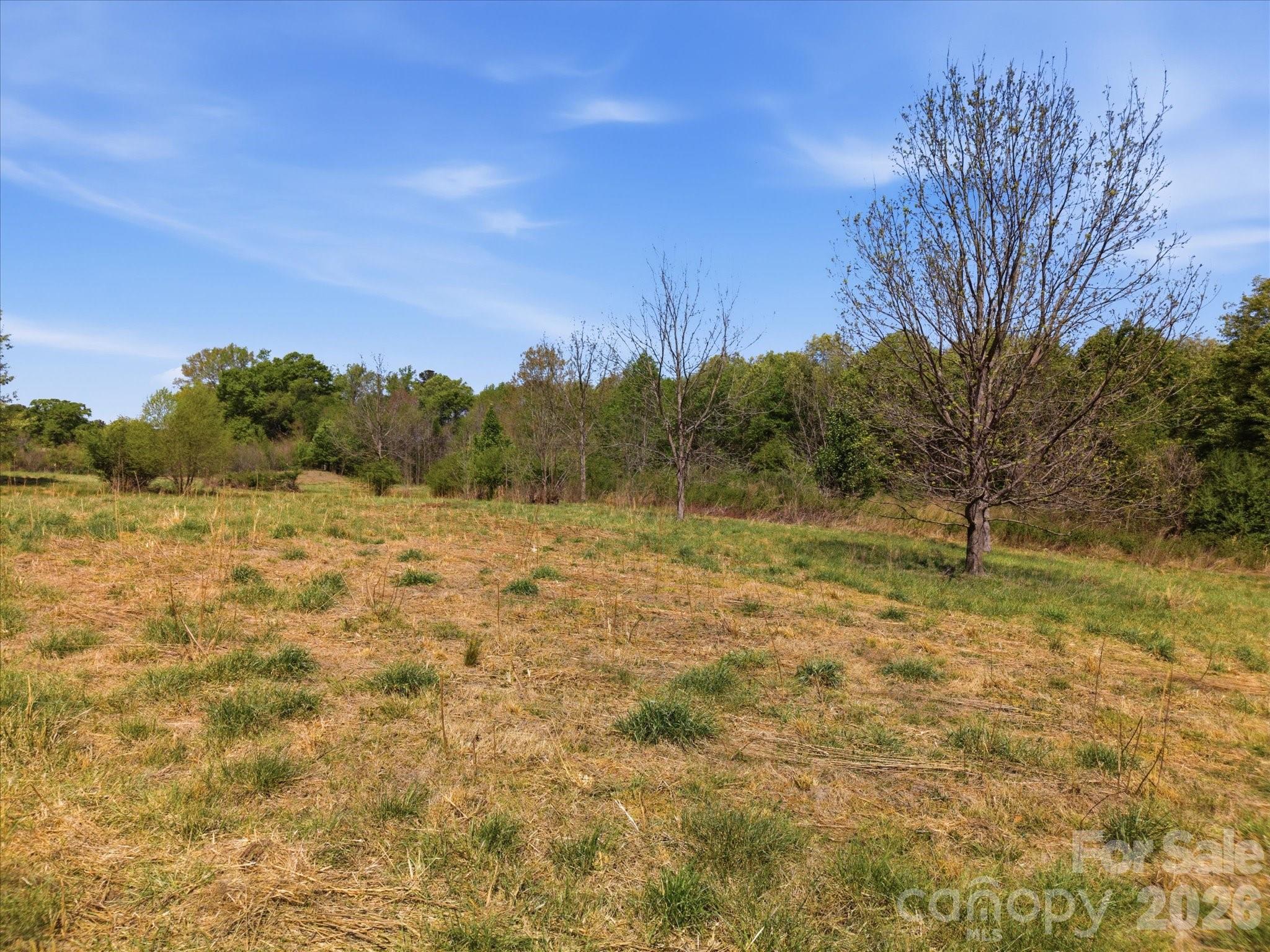 52 McMillan Road Cheraw, SC 29520 - Photo 28 of 46 Gallery Image 28