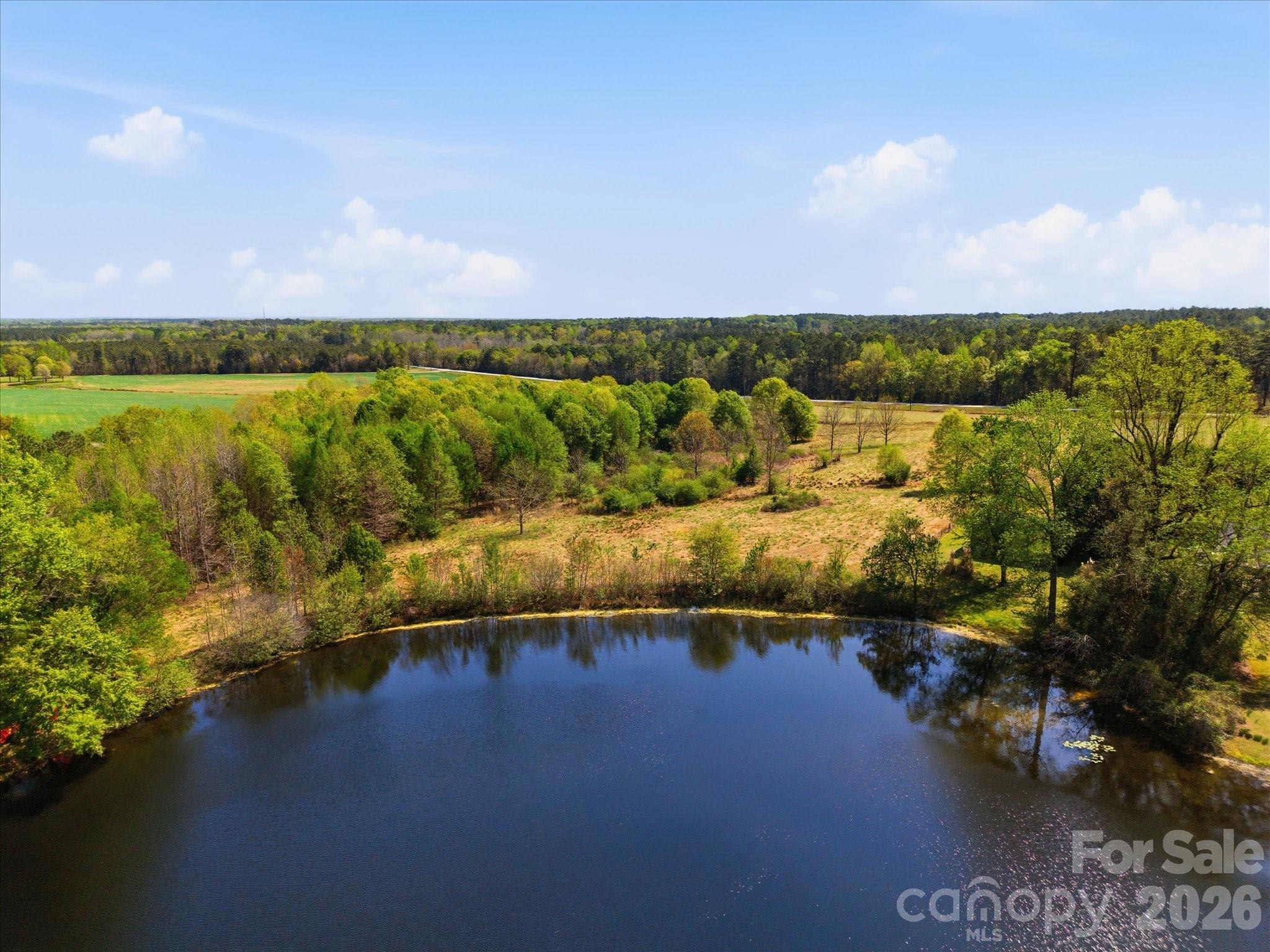 52 McMillan Road Cheraw, SC 29520 - Photo 31 of 46 Gallery Image 31