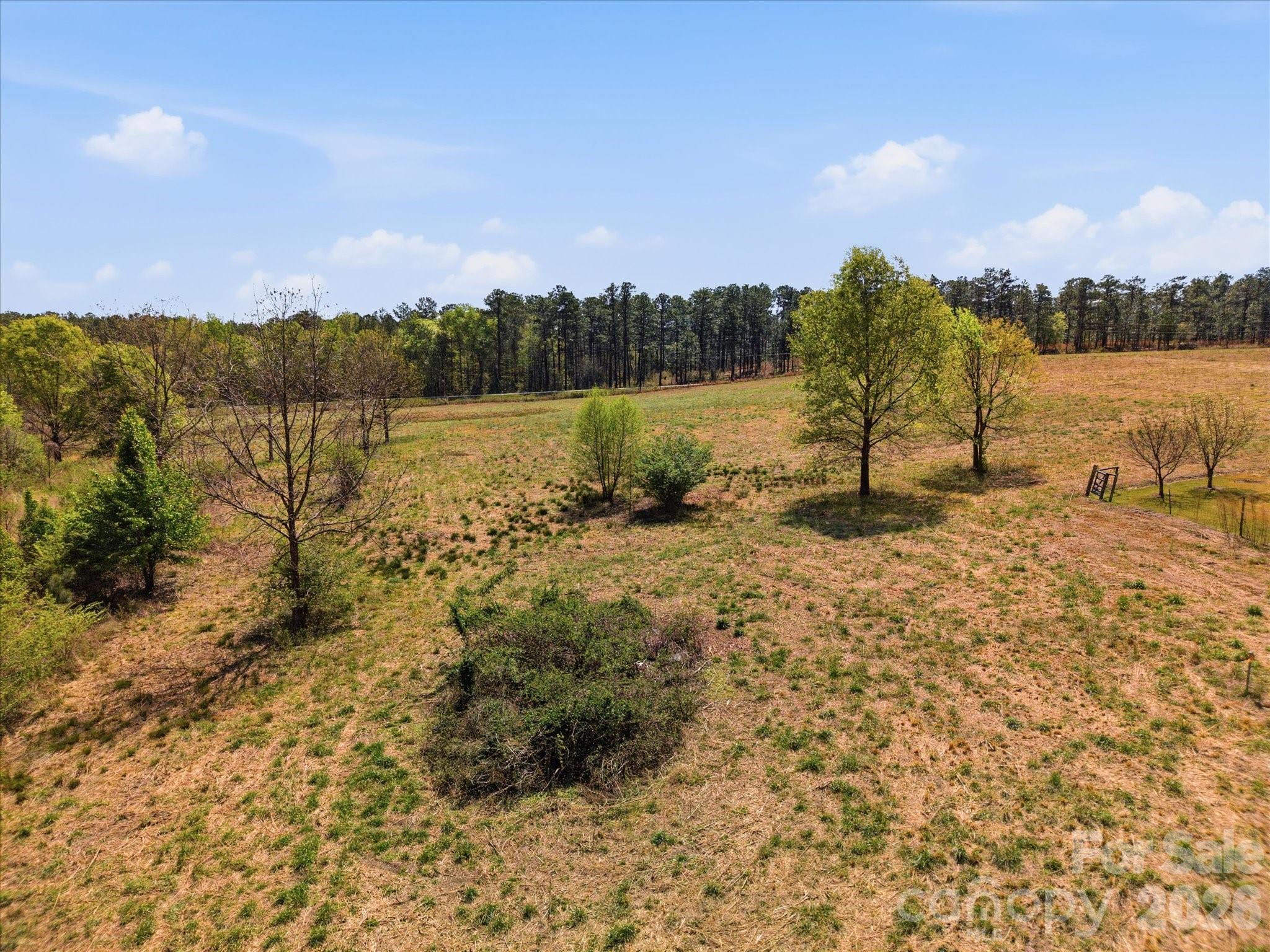 52 McMillan Road Cheraw, SC 29520 - Photo 33 of 46 Gallery Image 33