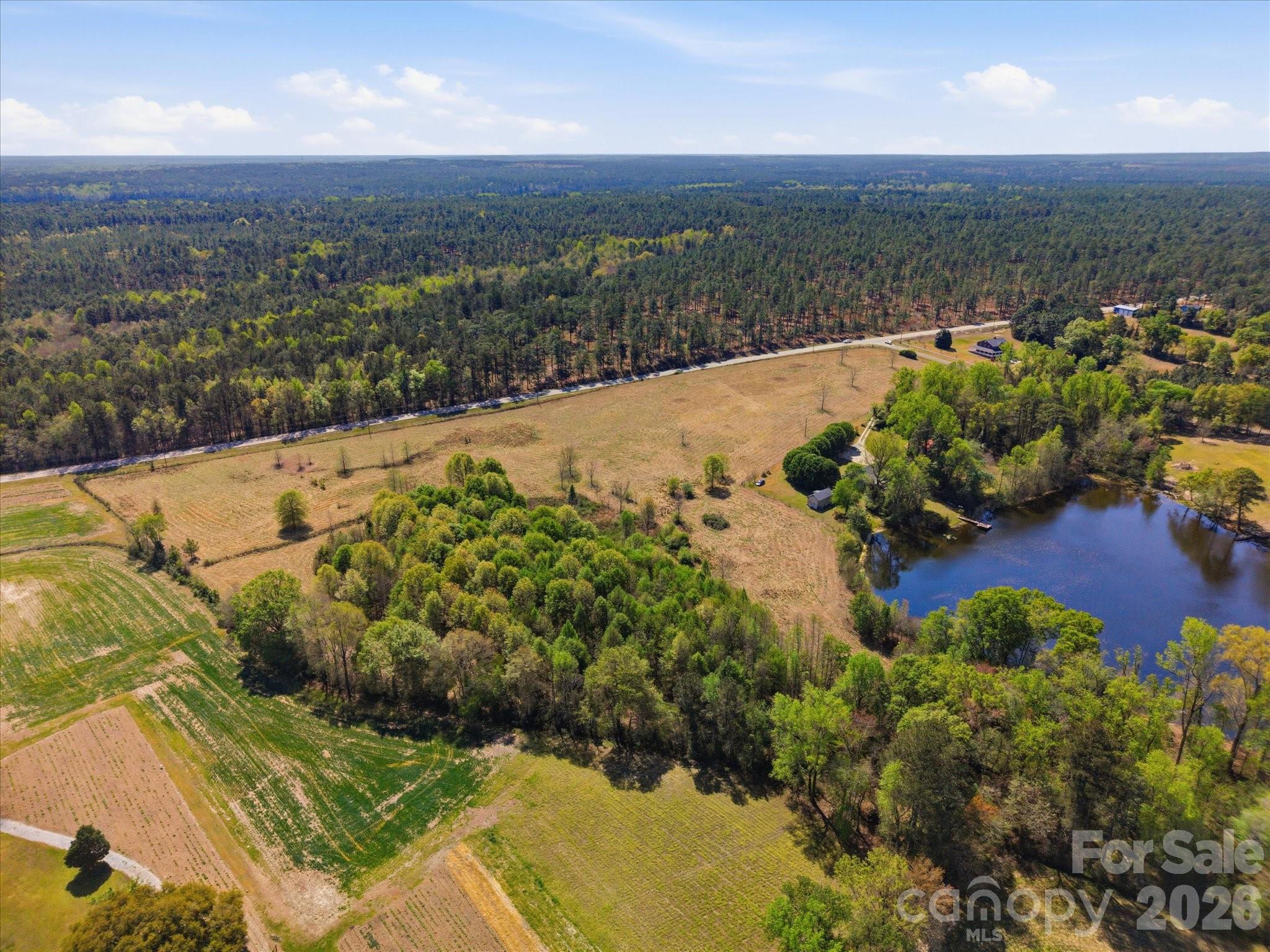 52 McMillan Road Cheraw, SC 29520 - Photo 9 of 46 Gallery Image 9