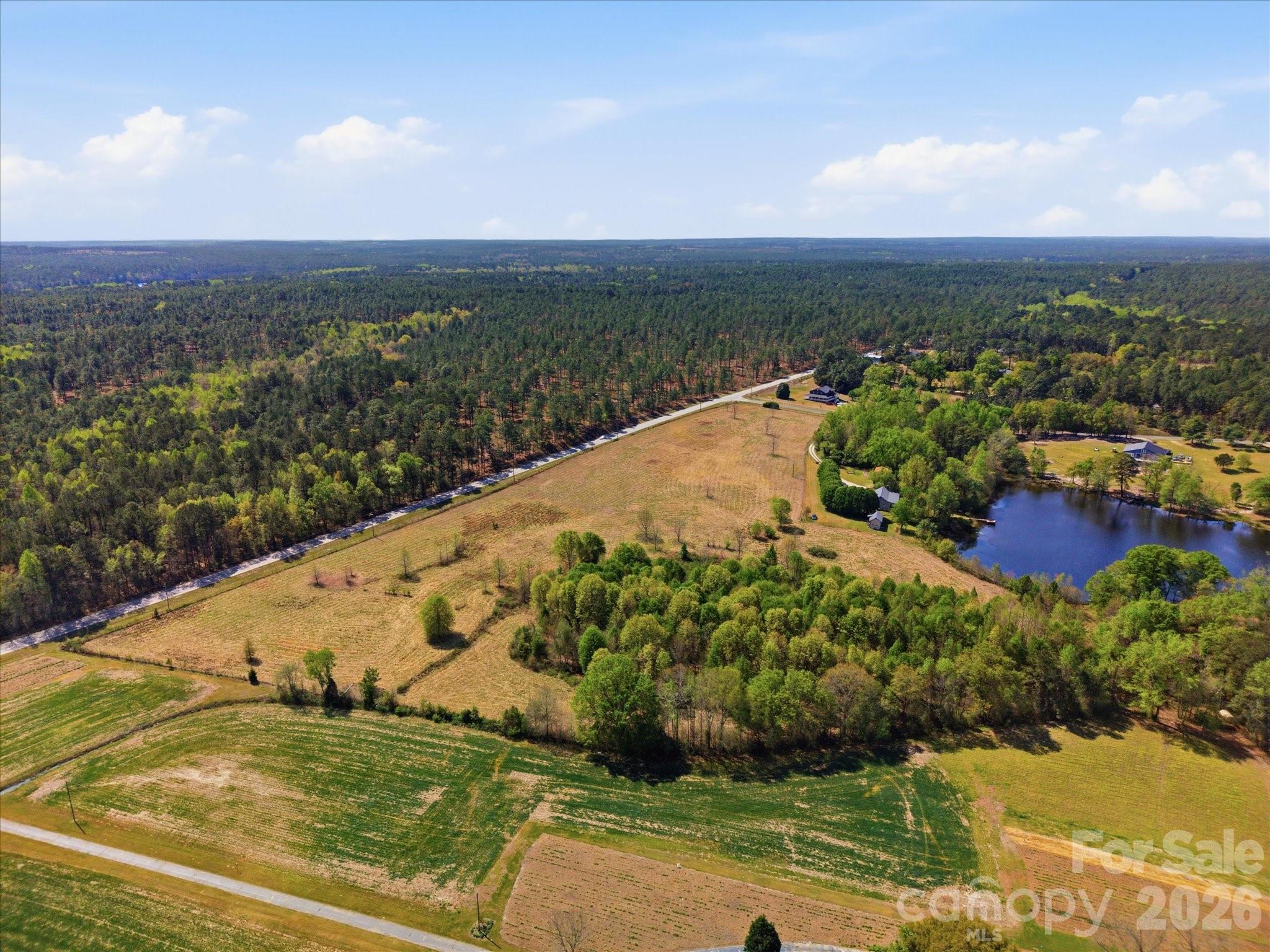 52 McMillan Road Cheraw, SC 29520 - Photo 10 of 46 Gallery Image 10