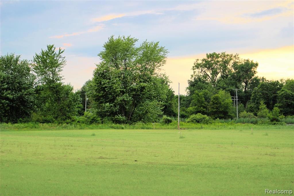 2537 Rauch Road Erie, MI 48133 - Photo 3 of 4