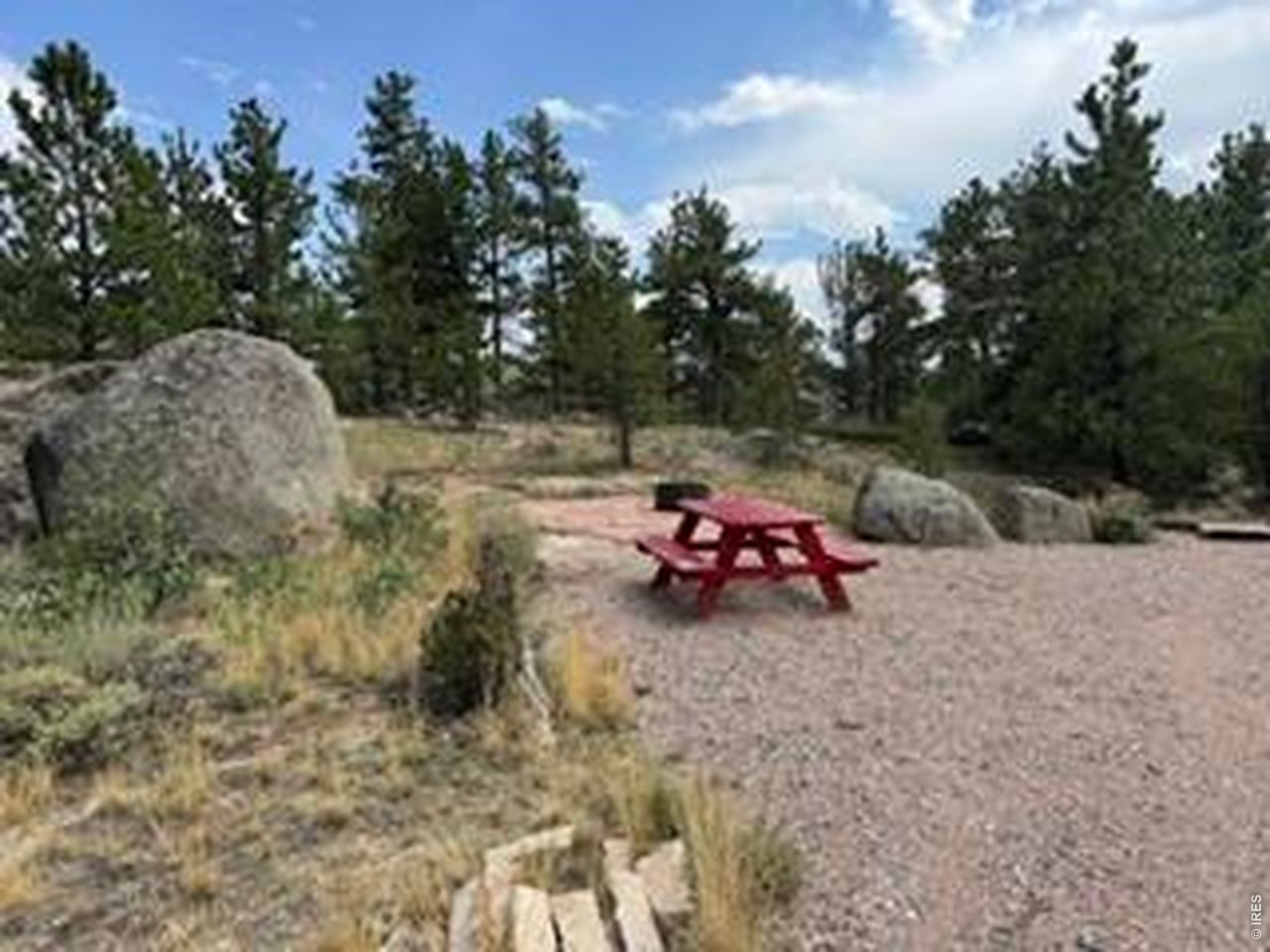 191 Cimarron Road Red Feather Lakes, CO 80545 - Photo 4 of 22 Gallery Image 4
