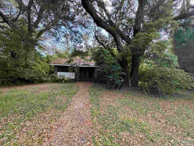 a view of a backyard with a garden and trees
