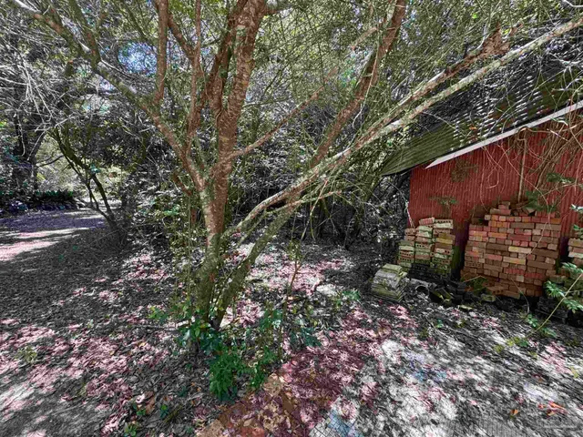 a backyard of a house with lots of green space