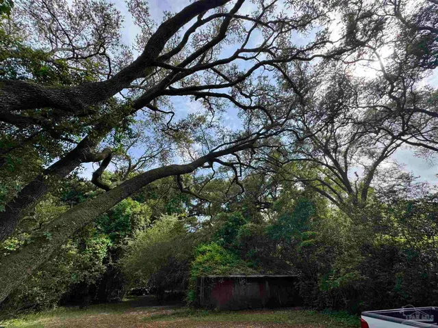 a backyard of a house