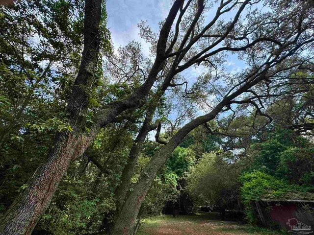 a view of outdoor space and yard