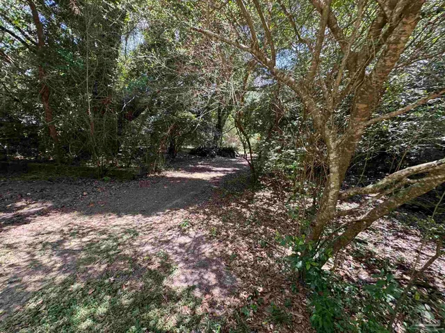 a backyard of a house with lots of green space