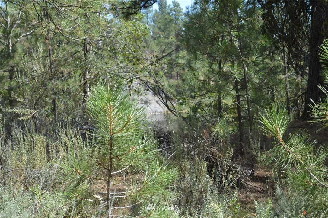 -tbd Vennlig Vei Road Okanogan, WA 98840 - Photo 12 of 17 Gallery Image 12