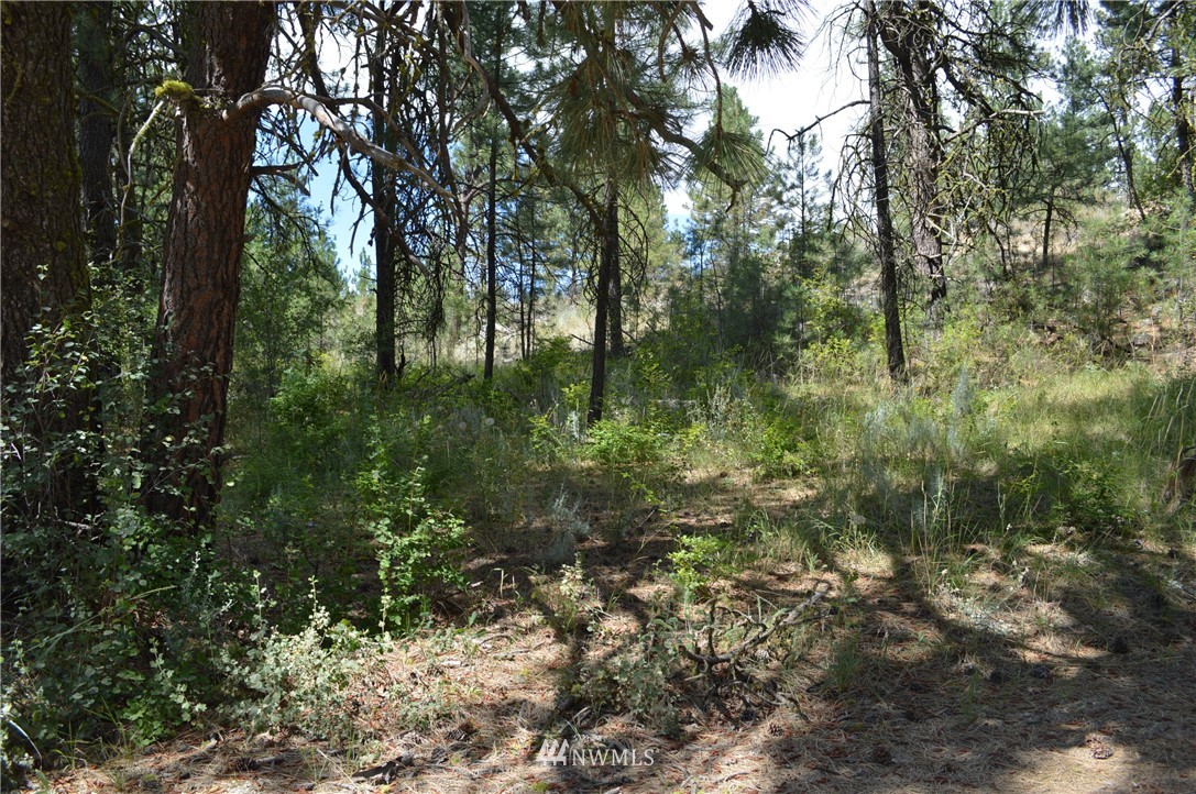 -tbd Vennlig Vei Road Okanogan, WA 98840 - Photo 13 of 17 Gallery Image 13