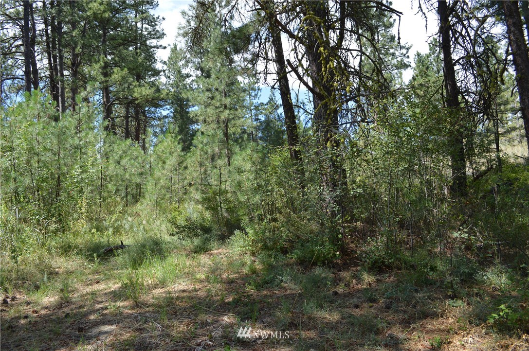 -tbd Vennlig Vei Road Okanogan, WA 98840 - Photo 14 of 17 Gallery Image 14