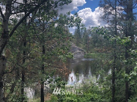 -tbd Vennlig Vei Road Okanogan, WA 98840 - Photo 16 of 17 Gallery Image 16