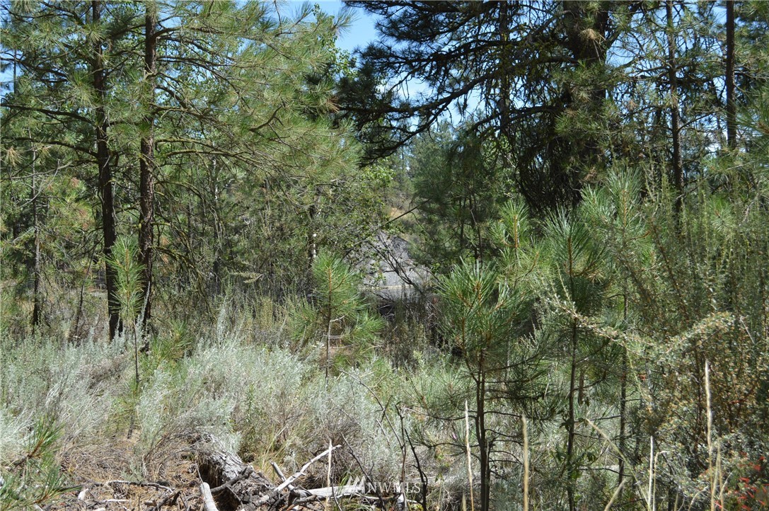 -tbd Vennlig Vei Road Okanogan, WA 98840 - Photo 10 of 17 Gallery Image 10