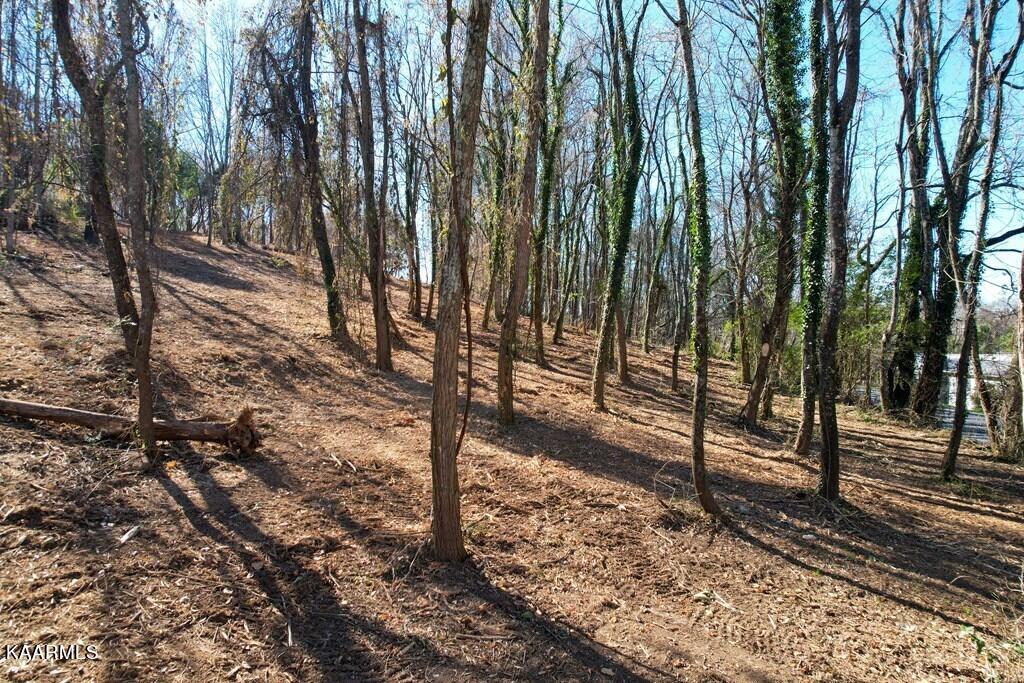 2731 Clear View Road Morristown, TN 37814 - Photo 3 of 13 1000013951_9