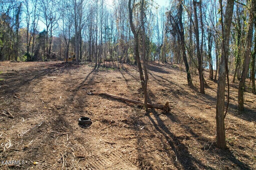 2731 Clear View Road Morristown, TN 37814 - Photo 5 of 13 1000013951_10