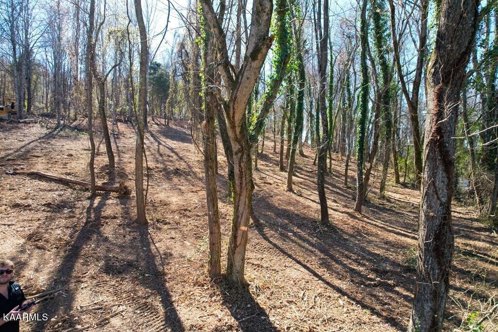 2731 Clear View Road Morristown, TN 37814 - Photo 7 of 13 1000013951_11