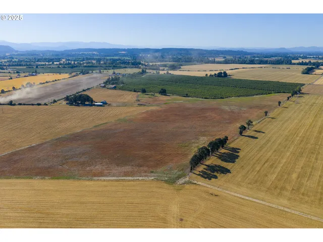 an aerial view of a beach