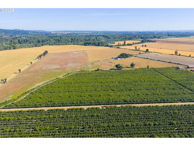 a view of an ocean beach
