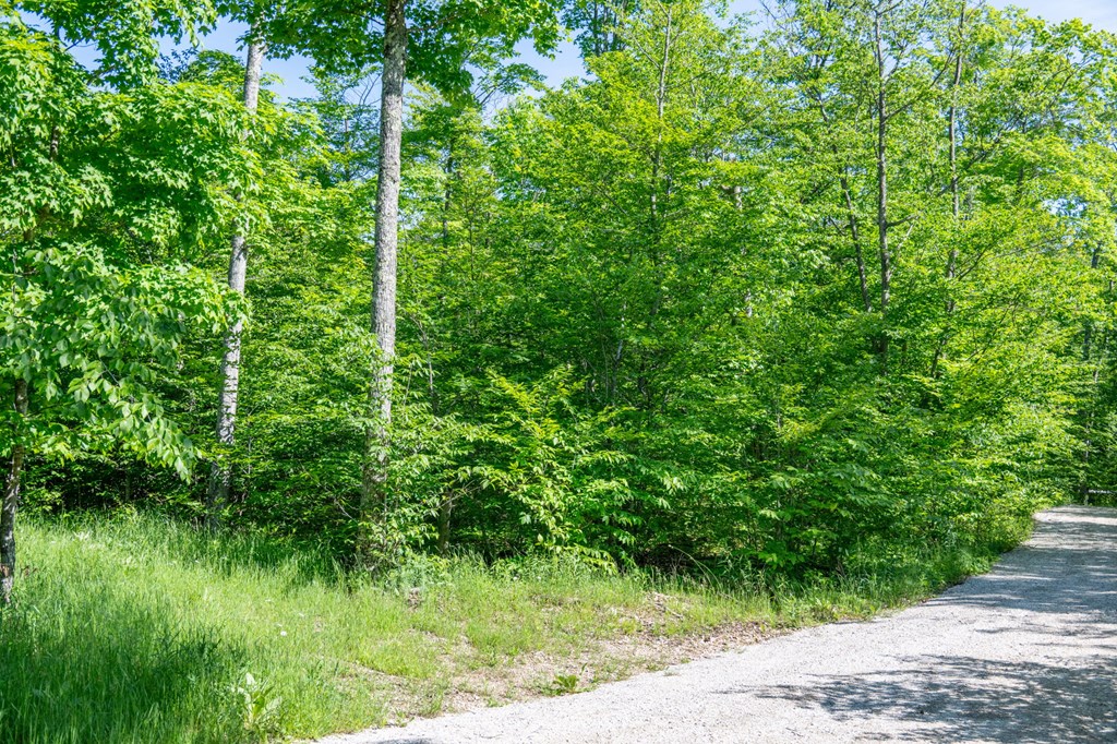 Lot 4 Isle View Road Ellison Bay, WI 54210 - Photo 5 of 11