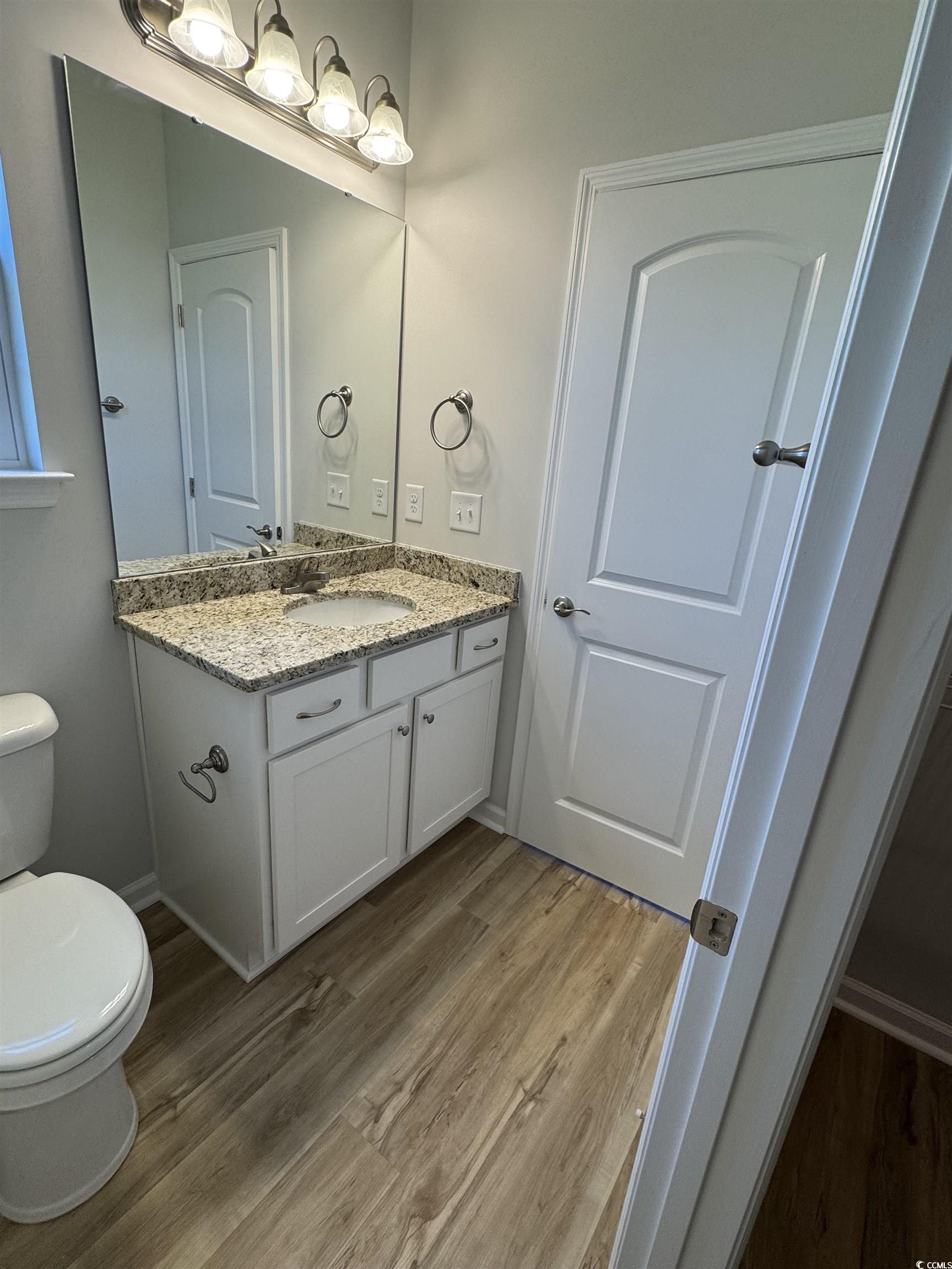 596 Shallow Cv Drive Conway, SC 29527 - Photo 5 of 25 Bathroom with vanity and light wood-style floors