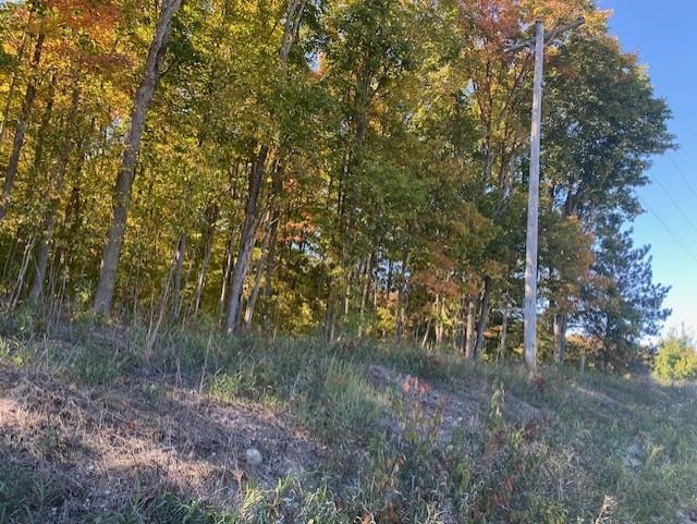 7597 Day Road Northeast Mancelona, MI 49659 - Photo 8 of 13 Gallery Image 8