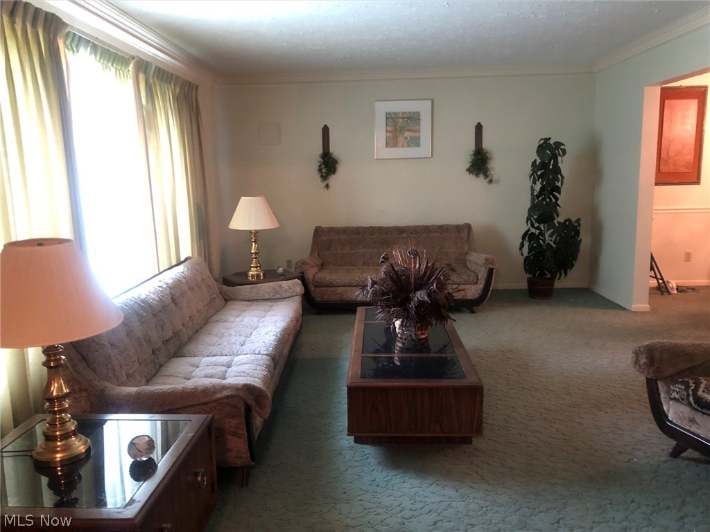1153 Oak Tree Road Akron, OH 44320 - Photo 22 of 28