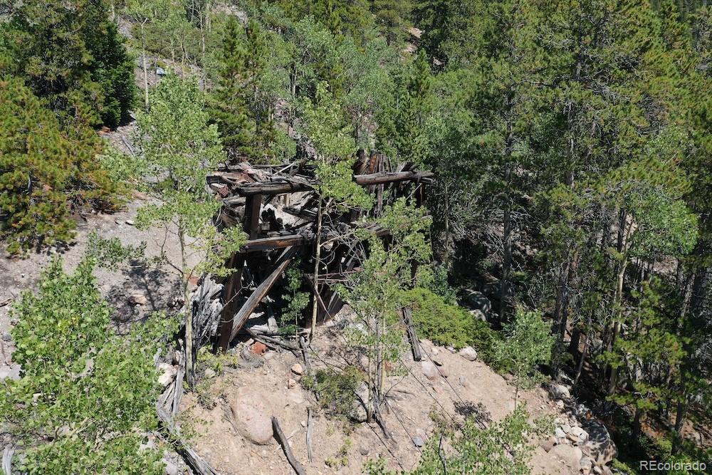 0 Silver Street Silver Plume, CO 80476 - Photo 15 of 16