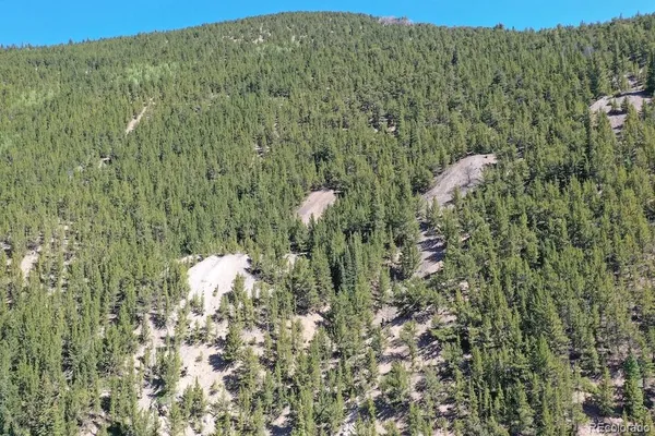 $1,200,000 | 0 Silver Street, Silver Plume, CO 80476