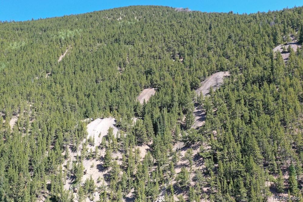 0 Silver Street Silver Plume, CO 80476 - Photo 3 of 16