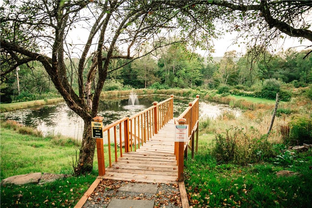 229 Glen Ellyn Road Long Eddy, NY 12760 - Photo 6 of 29