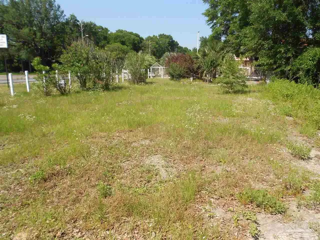 a view of a yard with an outdoor space