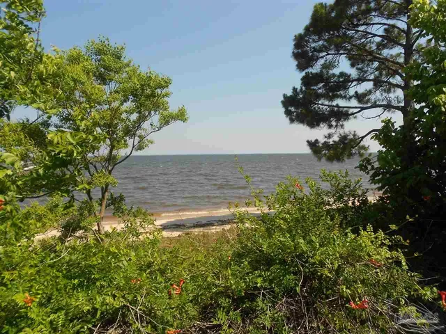 a view of a lush green space