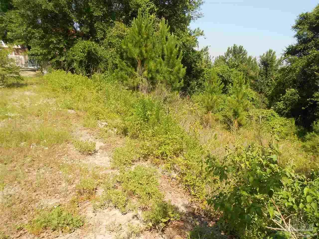 a view of a yard of a building