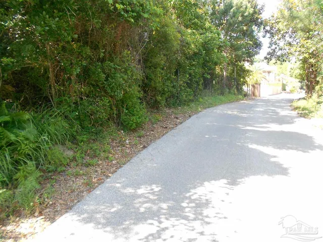 a view of a yard with plants and large trees
